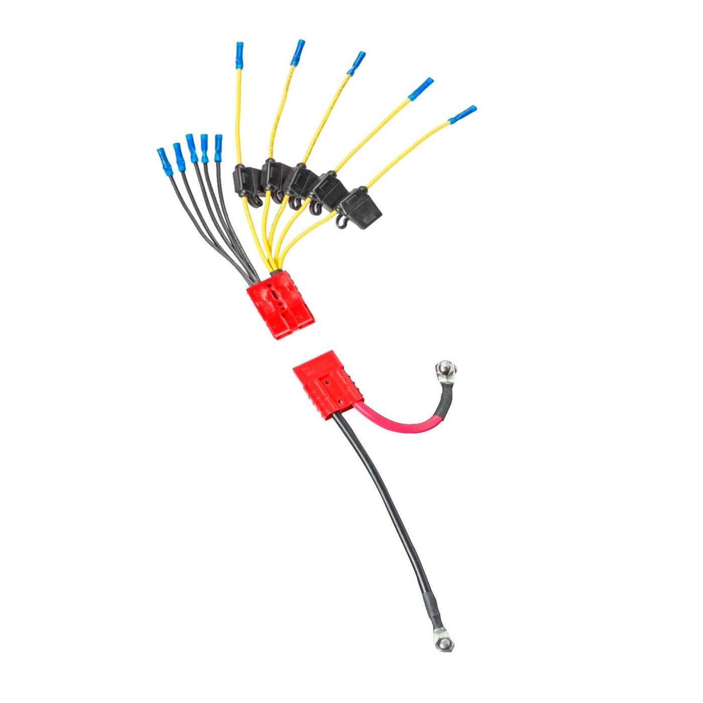 Compare ConnectEase 12V Battery Connector Kit CE12VB5FK | Easy 5Lead Fused System for Any Marine Electronics | Power Depth Finders, GPS Units, Pumps & More | MarineGrade UL1426 Wire | Battery NOT Included at KSA Price