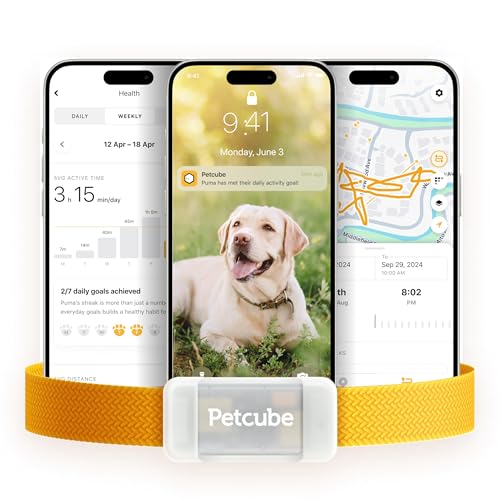 Petcube GPS Tracker for Dogs | Pet GPS…