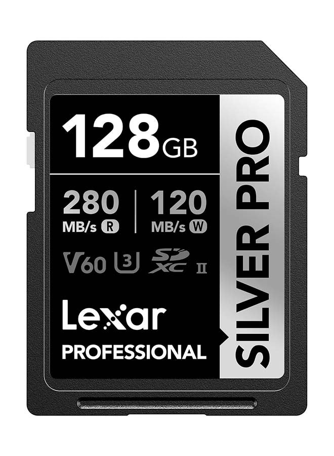 Professional 128GB Silver PRO SDXC UHS-II Memory…