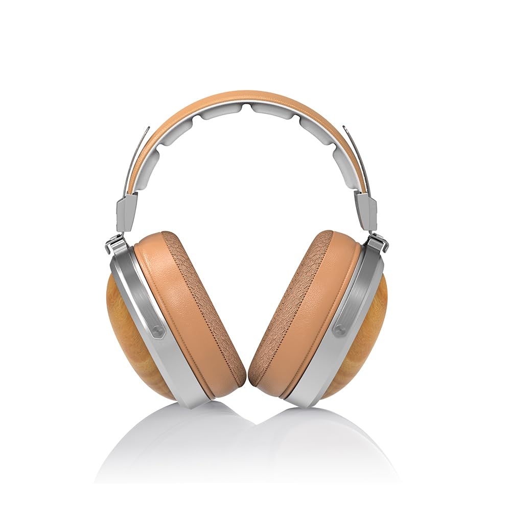 Compare FiiO FT1 ClosedBack OverEar Nanowood Fiber Composite Diaphragm Wired HiFi Headphones Detachable Cable American Black Walnut Wood Ear Cups for Home Studio Recording Beech at KSA Price