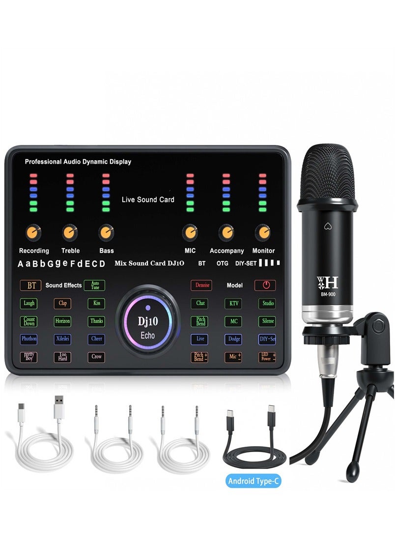 Compare Wireless Karaoke Microphone Professional Condenser Sound Card Set at KSA Price