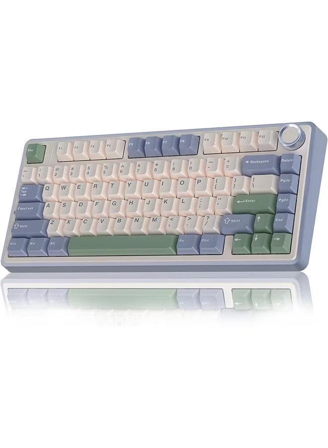 Compare AULA F75 75% Wireless Mechanical Keyboard, Hot Swappable Creamy Keyboard, Prelubed Reaper Switches RGB Backlit Gaming Keyboards, 2.4GHzTypeCBT5.0White & Green at KSA Price