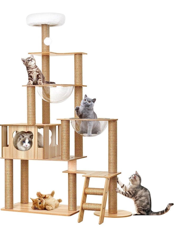 Modern Cat Tree for Indoor Cats, 65 Inches…