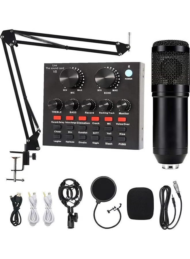 Compare Professional Condenser Microphone Bundle with Live Sound Card for Studio Recording and Broadcasting Black at KSA Price