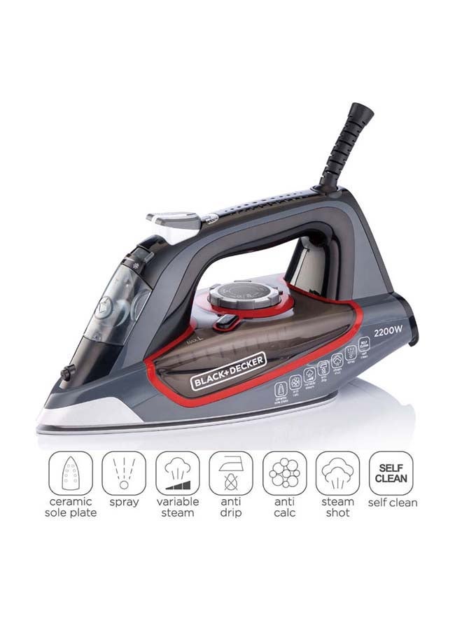 Steam Iron with Ceramic Soleplate, 380ml Water Tank,…