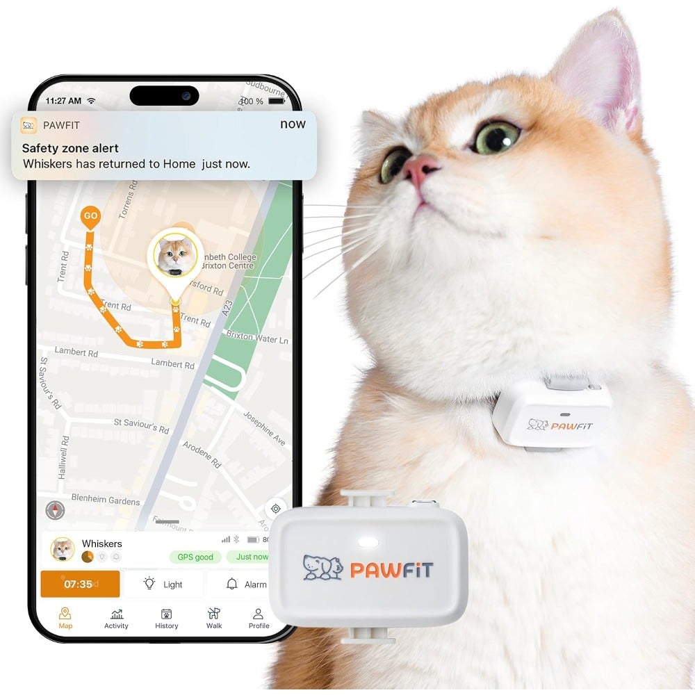 Compare Lite 4G GPS Tracker for Cats Real Time Tracking Activity Monitoring Location History Unlimited Range Includes Collar with Click Lock at KSA Price