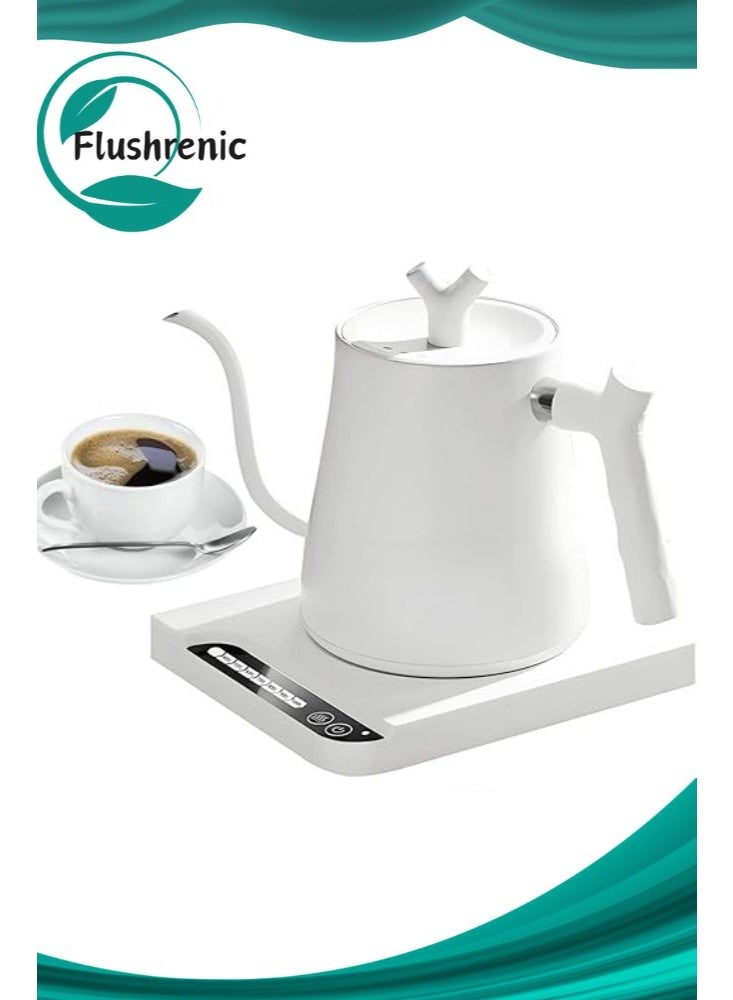 Smart domestic kettle, temperature-controlled pour-over…
