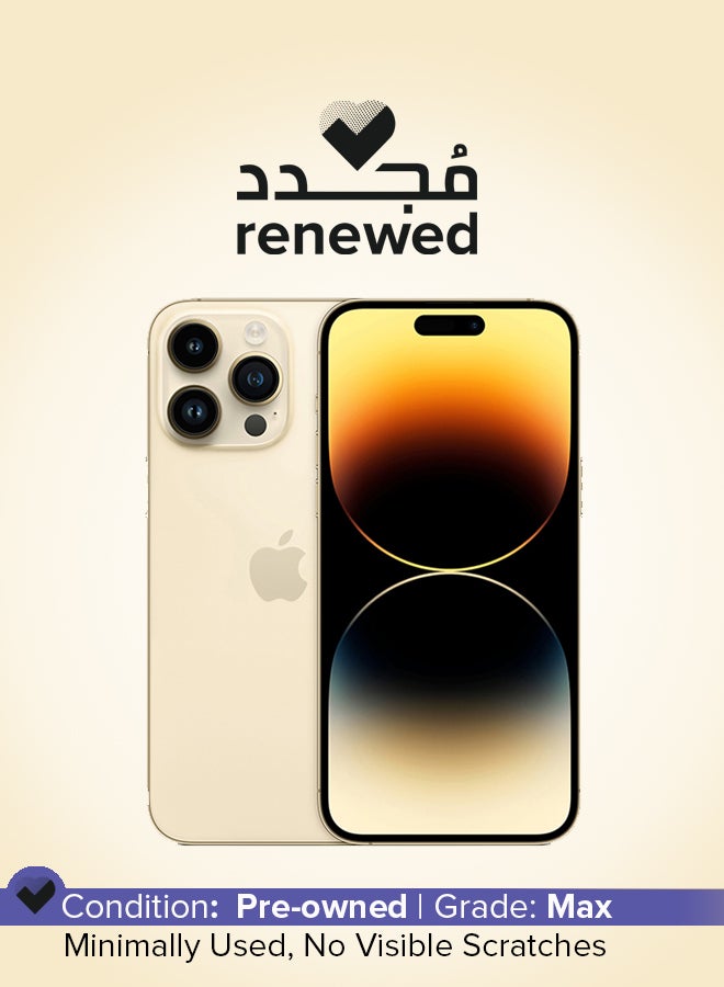 Compare Renewed  iPhone 14 Pro 256GB Gold 5G With Facetime  International Version at KSA Price
