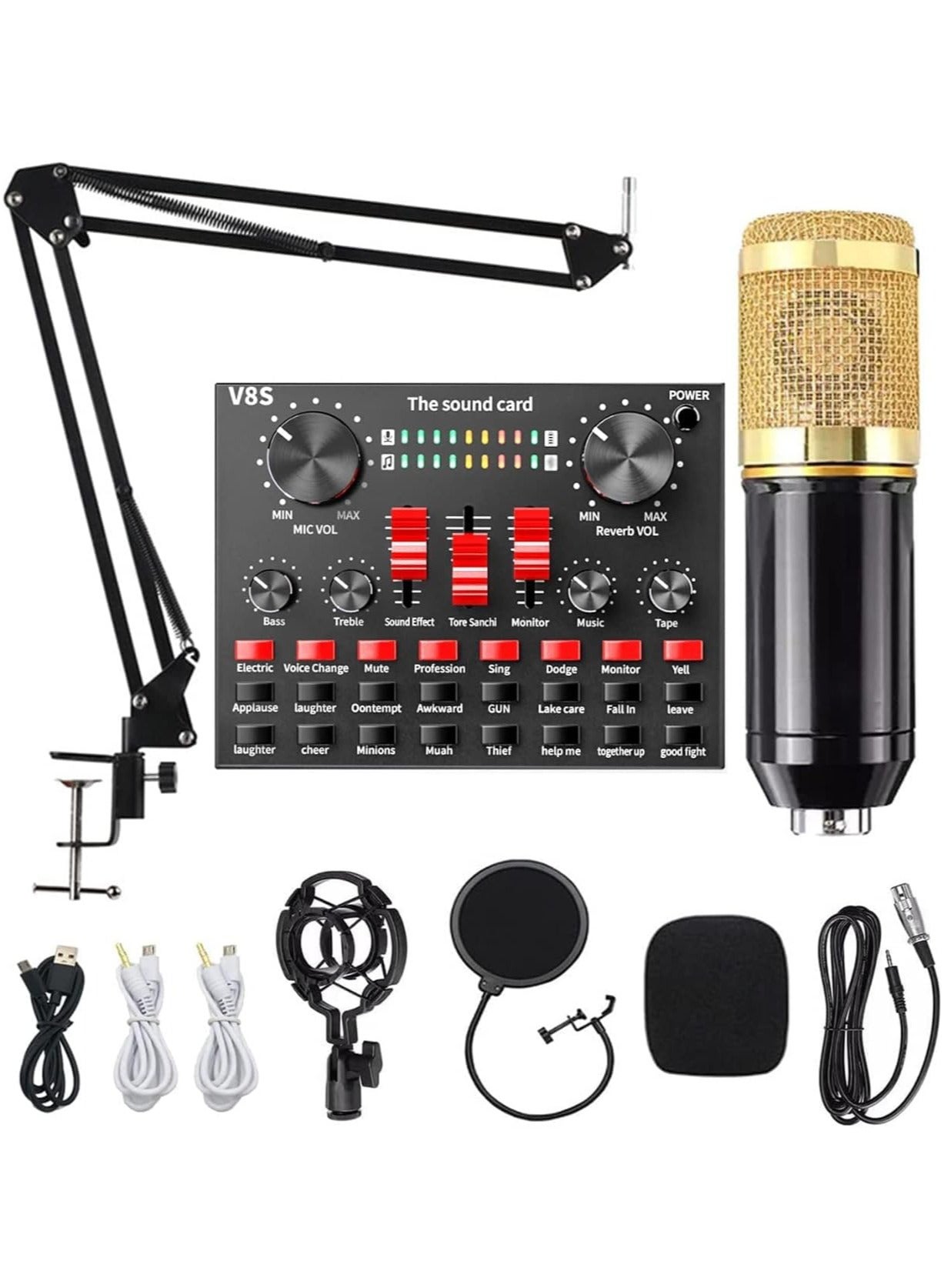 Professional Condenser Microphone and V8S Live…