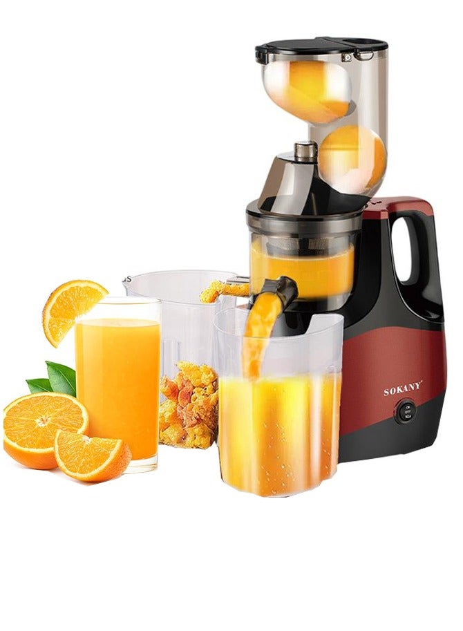 Slow Juicer,Slow Masticating Juicer,Fruit/Vegetable…