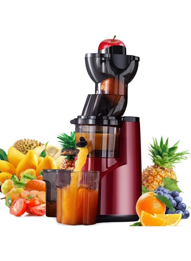 Cold Press Juicer,1000W, 500ML Capacity Slow Masticating…