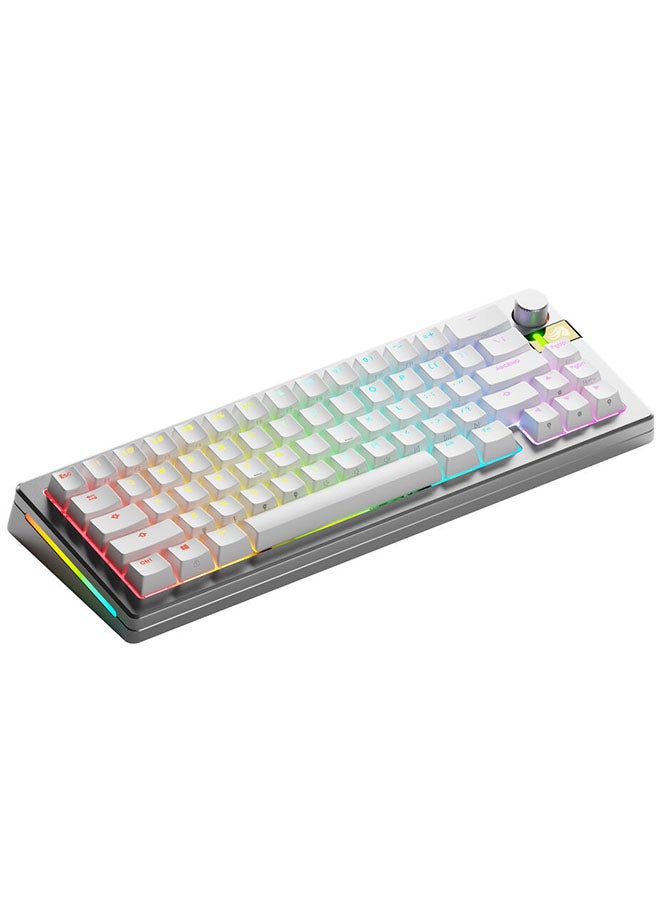 Glorious GMMK 3 PRO HE Wireless Gaming Keyboard…