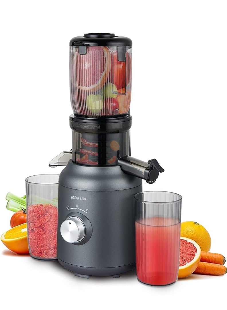 Compare Slow Juicer, 250W Pure Copper Motor, Wide Chute, High Juice Yield, Automatic Separation of Slag and Juice, Slow Masticating Juicer for Vegetables & Fruits, low Noise Juice Extractor, 99% High Juice Yield  Black at KSA Price
