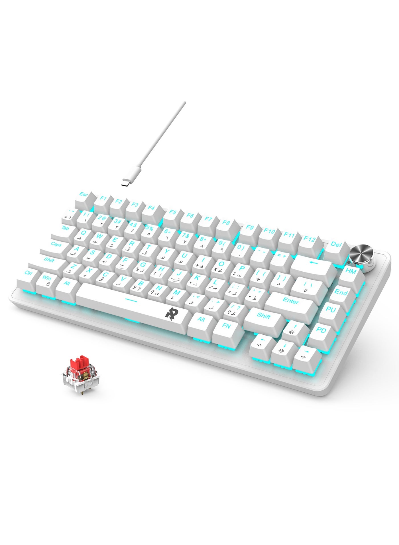 Compare ROCK POW 70% Gaming Keyboard,Arabic English 82 Keys Mechanical Keyboard with Ice Blue Backlit 19 Modes, Volume Lighting Knob Wired Mini PBT Keycaps for PC Gaming and Working Red SwitchWhite at KSA Price