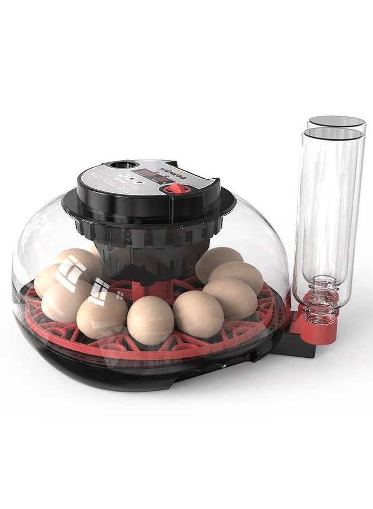 Compare 12 chicken egg Incubator,Automatic egg turning and temperature control incubator with egg testing Function 12H at KSA Price