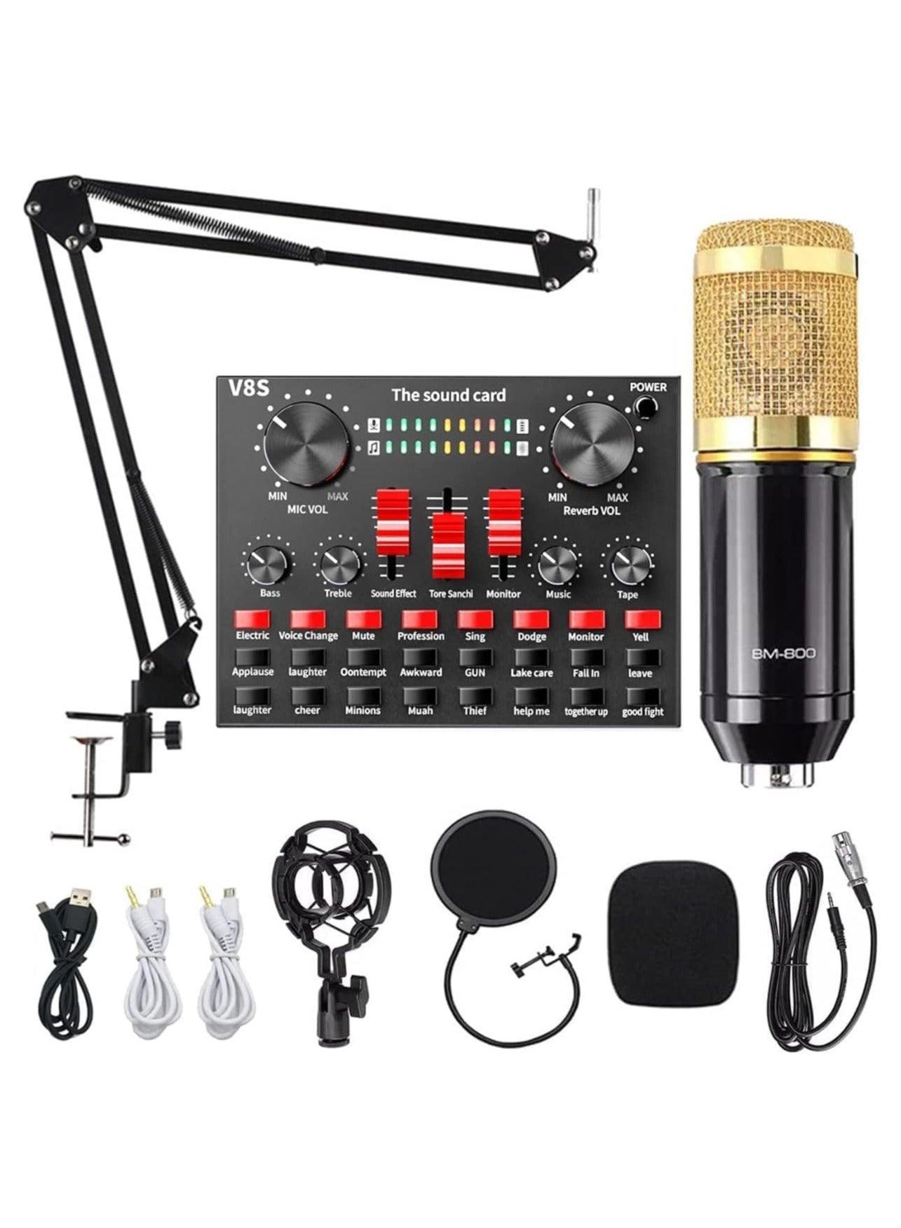 Professional Condenser Microphone and V8S Live…