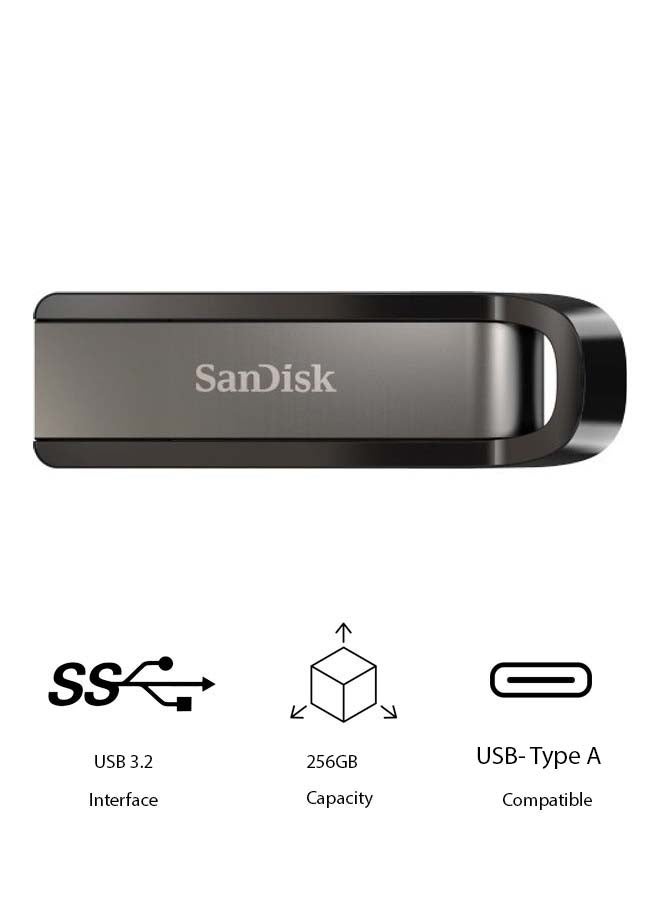 Compare 256 GB Extreme Go USB 3.2 TypeA Flash Drive  SDCZ810256GG46 at KSA Price