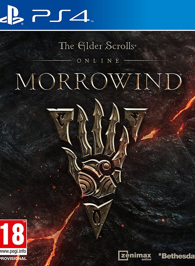Compare Morrowind  Intl Version  role_playing  playstation_4_ps4 at KSA Price