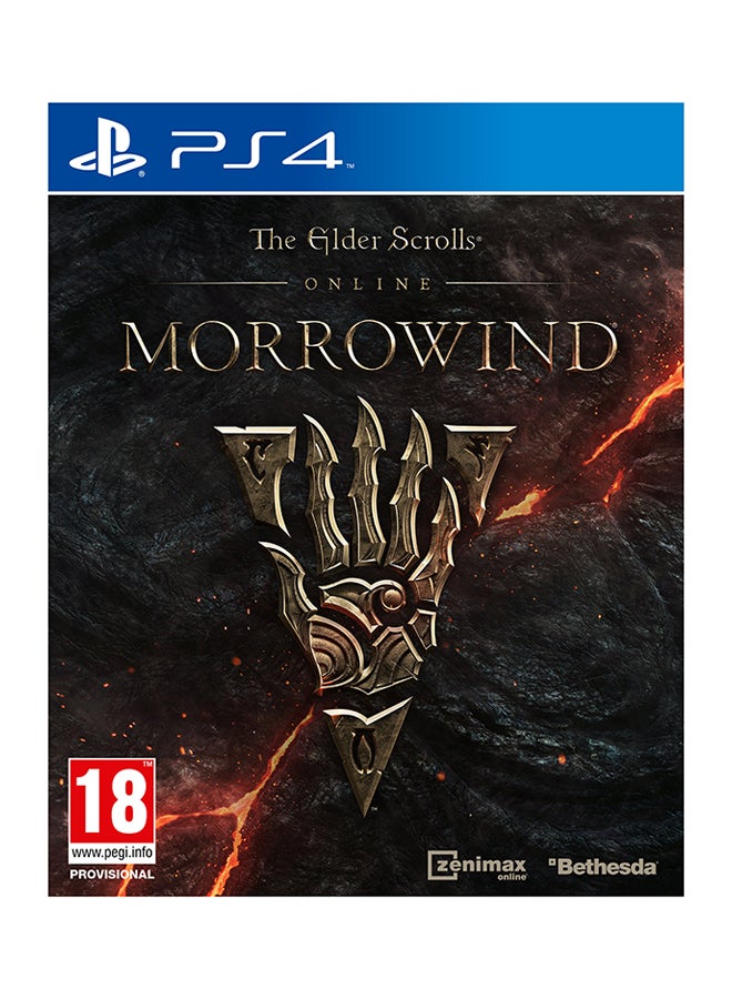 Compare The Elder Scrolls Morrowind  PlayStation 4  Role Playing  PlayStation 4 PS4 at KSA Price