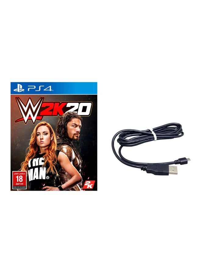 Compare WWE 2K20 With USB Charger Cable  fighting  playstation_4_ps4 at KSA Price