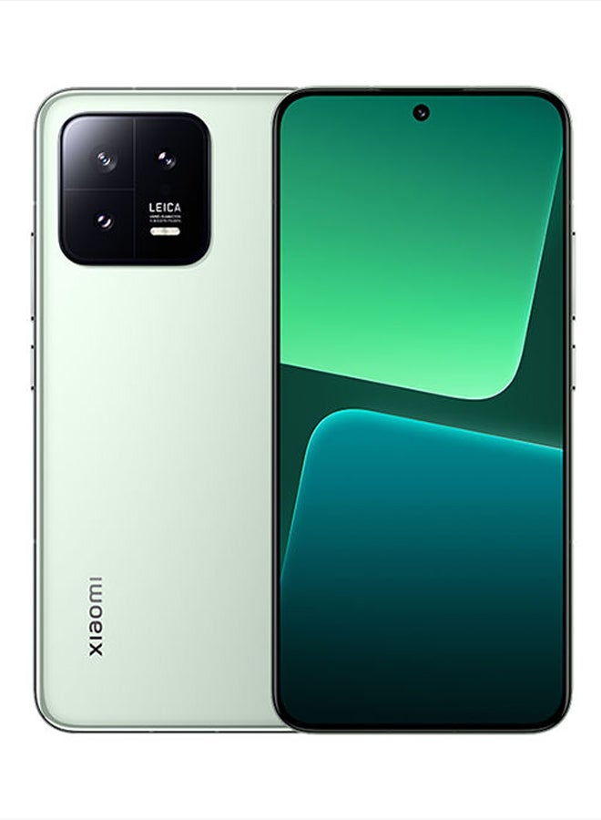 13 Dual Sim Flora Green 12GB RAM 256 GB…