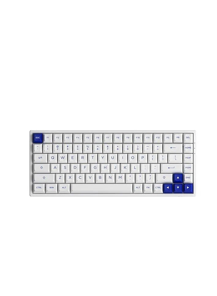 Compare AKKO MonsGeek MG108B Blue on White MultiMode Wireless Keyboard  TTC Golden Blue at KSA Price