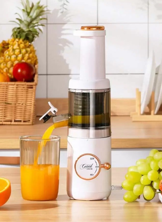 Mini Slow Juicer Screw Cold Press Extractor – Portable…