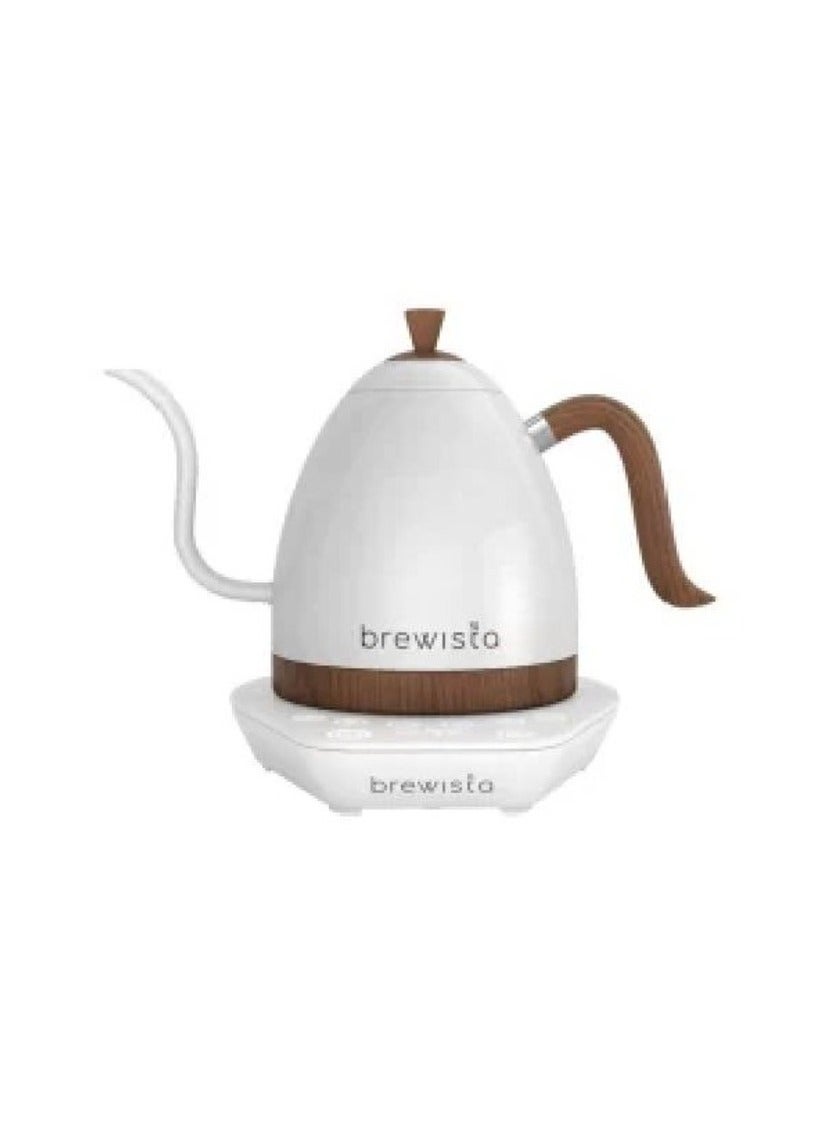 Artisan Electric Coffee Kettle with Gooseneck Spout,…