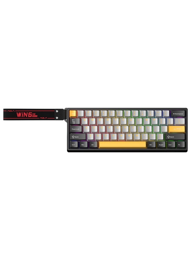 Compare WIN60 HE MAX 60% Wired Magnetic Keyboard with Adjustable Actuation, 8000 Hz Polling Rate, Hall Effect Win Chun Magnetic Switches, HotSwap, For FPS Games at KSA Price