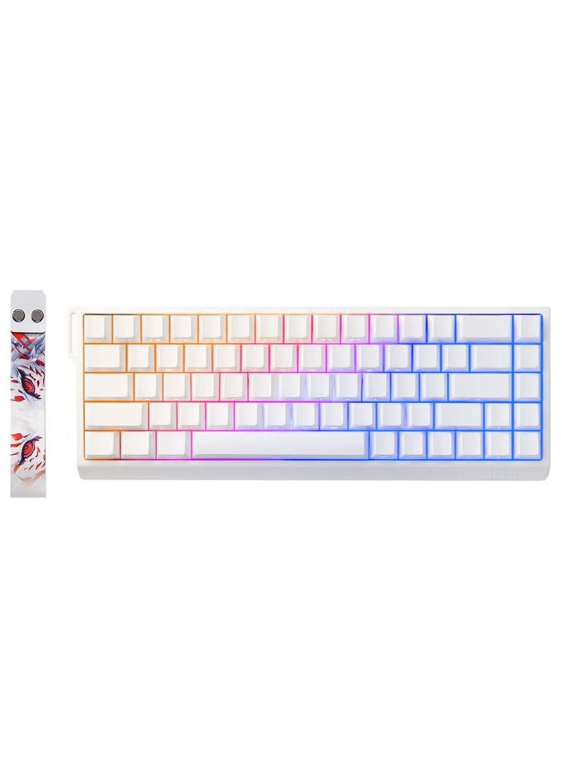 Compare MAD68 HE FastActuation Wired Magnetic Mechanical Gaming Keyboard with 60% Hall Effect Switches, Adjustable Actuation, PBT Keycaps, RGB HotSwappable, 8K Hz Polling Rate White, Amber Pro Switches at KSA Price
