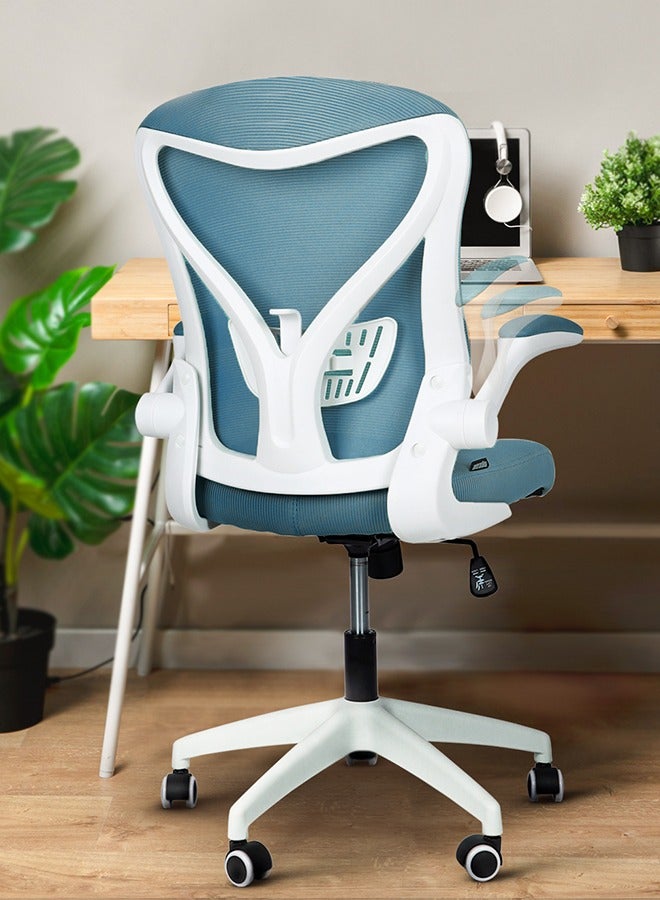 Compare DROGO premium Ergonomic Office Chair for Work from Home, High Back Computer Chair with Mesh, Flipup Armrest, Recline, Adjustable Seat & Lumbar Support Mesh Chair for Office at KSA Price