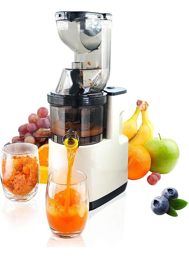 Compare Cold Press Juicer, Slow Cold Press Juicer with Larger Feed Chute, Pure Juicer Machines for Vegetables & Fruits, Easy to Clean with Brush at KSA Price