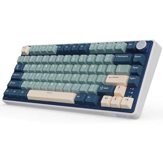 Compare R75 MECHANICAL KEYBOARD WIRELESS 75%, GASKET GAMING KEYBOARD 75% TKL WITH BUTTON QWERTZ RGB BLUETOOTH2.4GUSBC PBT KEYCAPS QMKVIA, HOT SWAP LINEAR CREAMY SWITCHES at KSA Price