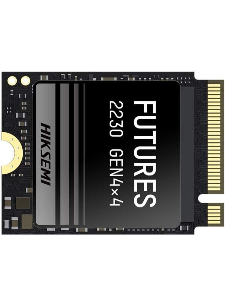 Hiksemi 1024GB FUTURES PCIe Gen 4.0 M.2 2230…