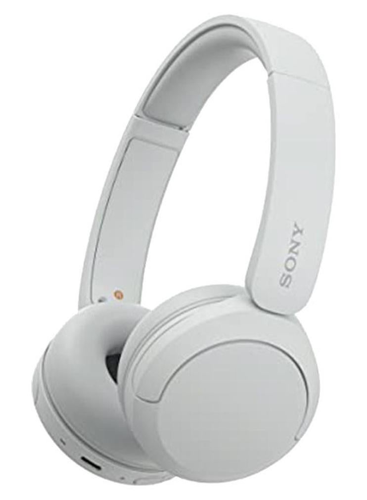 WH-CH520 Wireless Bluetooth On Ear With Mic…