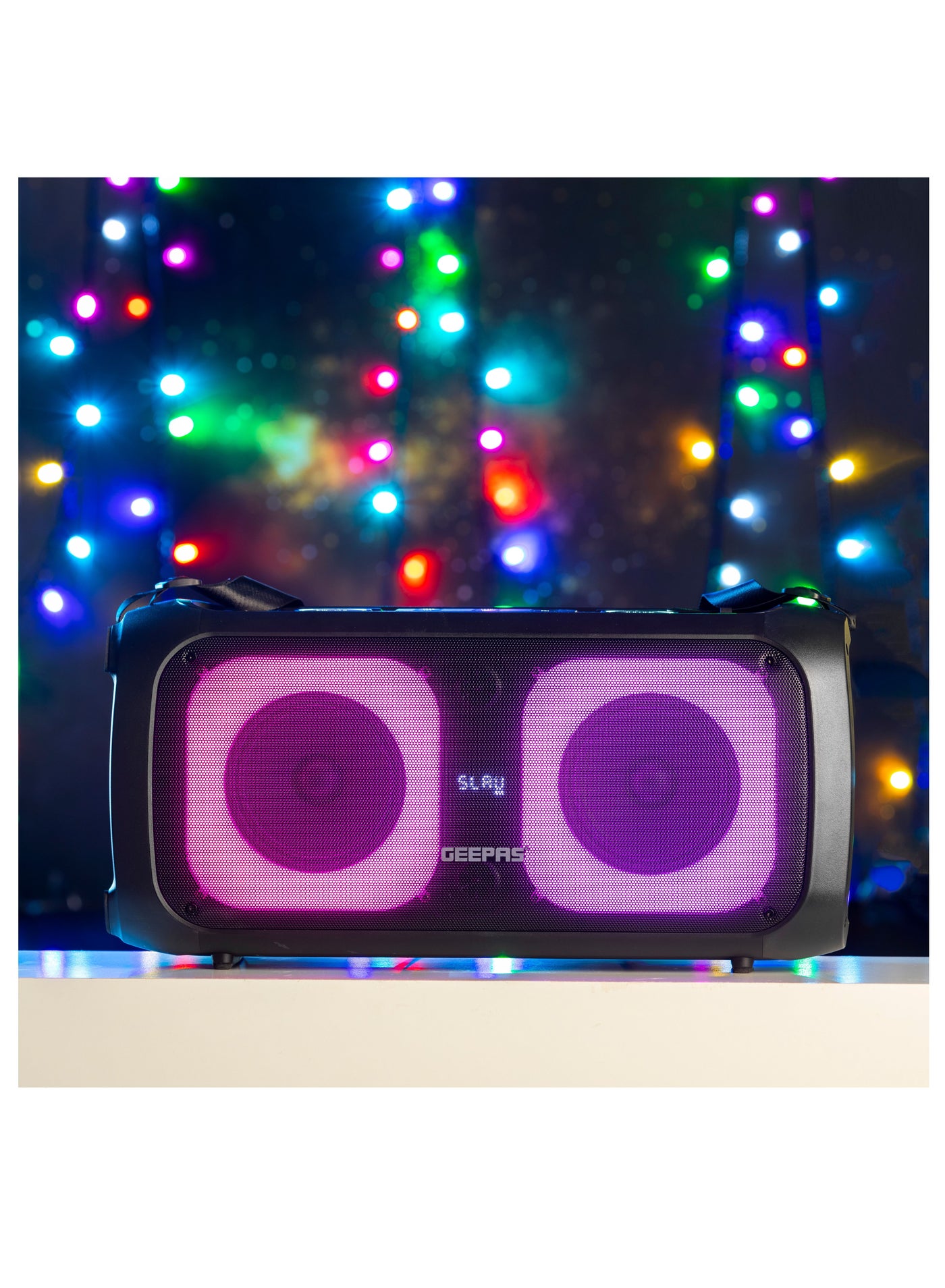 Portable and Rechargeable Professional Speaker
