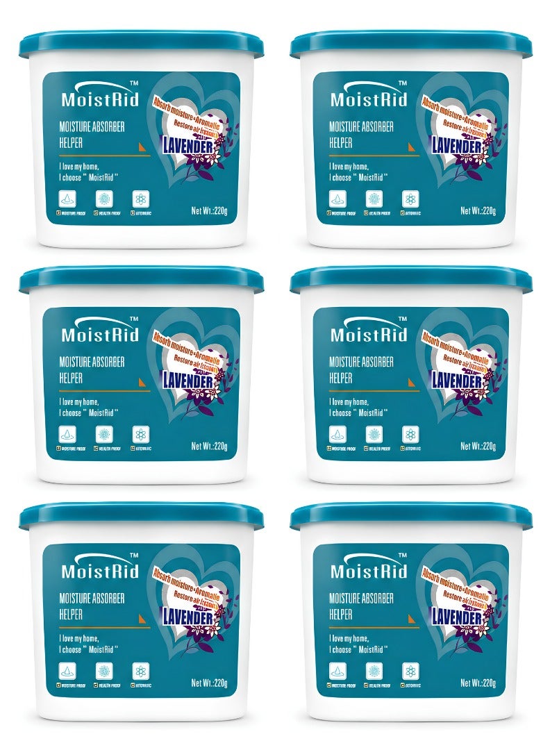 Compare Moisture Absorber Boxes 6 Pack | Dehumidifier for Home & Kitchen | Humidity Absorber for Wardrobe, Closet, Bathroom & Bedroom | Disposable Moisture Absorber 220 gram  Pack at KSA Price
