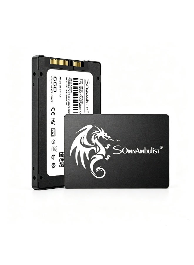 SomnAmbulist 256GB 2.5