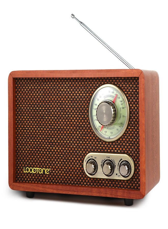 LoopTone USB SD Multifunction AM FM Vintage…
