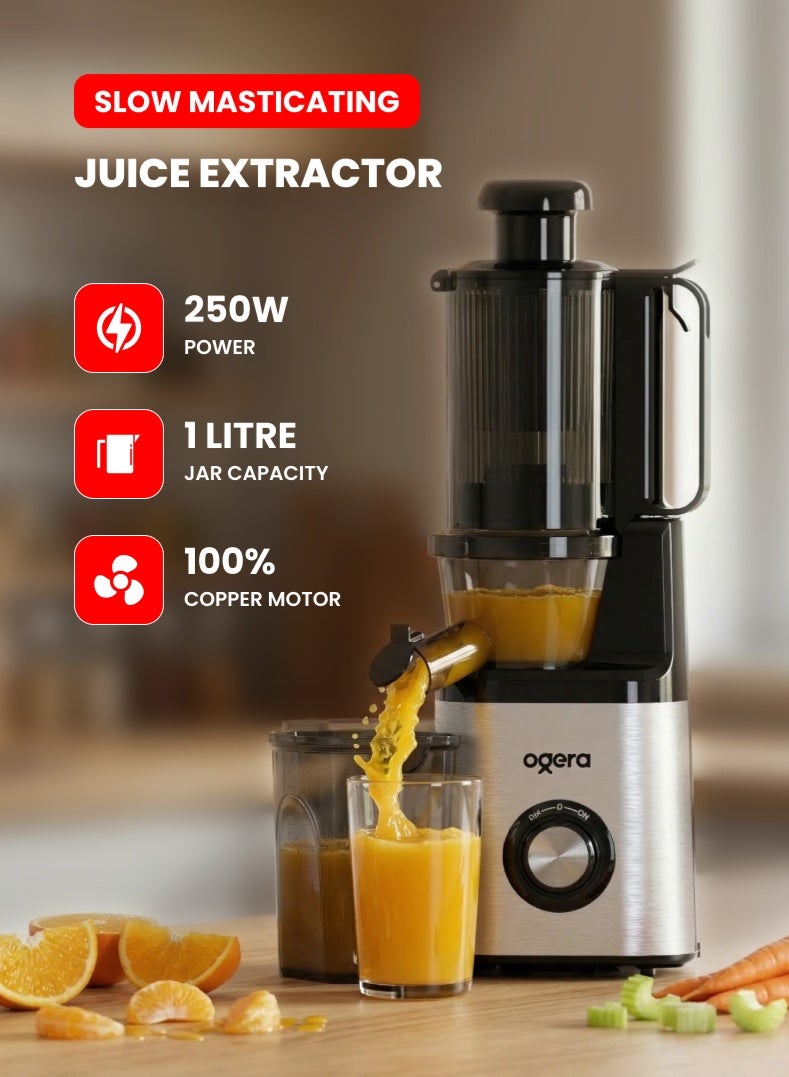 Slow Juicer 250W | Cold Press Masticating Juicer…