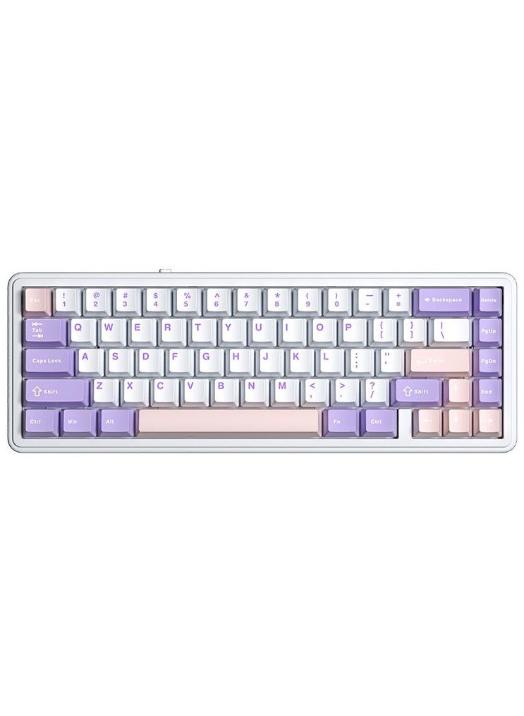 F65 65% Wireless Mechanical Keyboard, Hot…