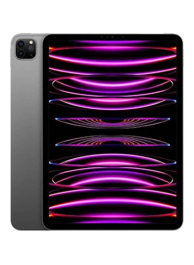 Compare iPad Pro 2022 4th Gen 11 inch Space Gray 2TB WiFi  International Version at KSA Price